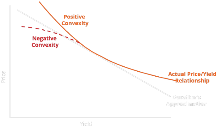 Negative Convexity