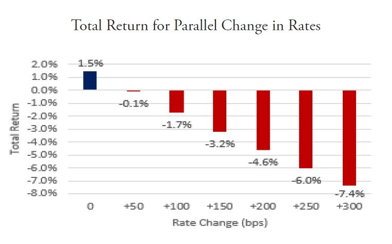 Madison Reinhart Fixed Income Perspectives January 2021