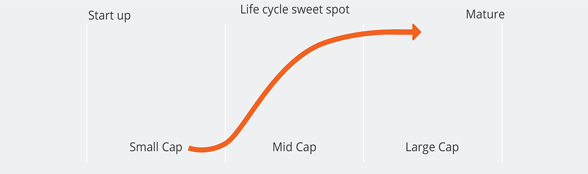 Mid caps lifecycle stages